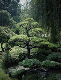 Sand It Blows Japanese Garden Japan Garden Japanese Garden Design