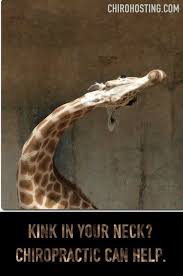 Animal Funny Chiropractic Ad Cecruncher Com Animal Chiropractor Chiropractic Chiropractic Humor Chiropractic Marketing