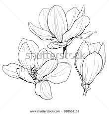 Black And White Springtime Flower Design Stock Photos Images Pictures Flower Line Drawings Line Illustration Flower Sketches
