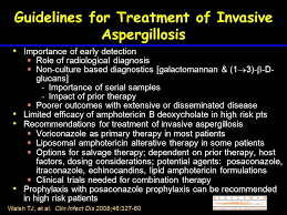 Simple, single aspergillomas often don't need treatment, and medications aren't usually. Treatment Guidelines For Invasive Aspergillosis Thomas F Ppt Video Online Download