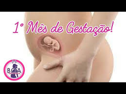Serie A Formacao Humana 1 Mes De Gestacao Youtube