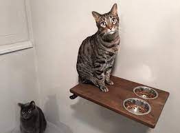 Wall Mounted Cat Feeder Cat Food Bowls Food Station Cat Shelf Cat Feeding Dining Station Cat Furniture Ac Cat Food Station Cat Food Bowl Cat Feeding Station