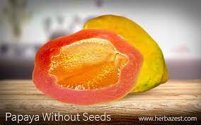 We did not find results for: Papaya Without Seeds Herbazest