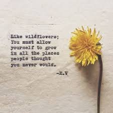 Morning Coffee 40 Photos Wild Flower Quotes Senior Quotes Flower Quotes