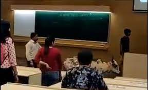 Get info about indian institute of technology bombay (iit bombay) like admission, fee, courses indian institute of technology bombay or iitb is one of the prestigious institutes was founded in. Cow Enters Iit Bombay Classroom Without Cracking Jee Deccan Herald