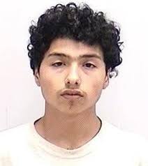 GBI: Two Chattooga Men Were among Bartow Sex Sting