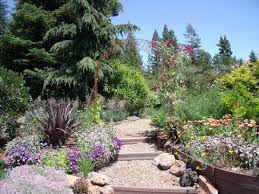 Mediterranean Gardens Mediterranean Garden Mediterranean Garden Design Zeroscape Landscaping