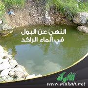 النهي عن البول في الماء الراكد