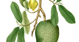  Pin Di Portal Gambar