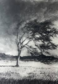 Image result for tbn:F7HKJEZ28fhrGM::www.artthrob.co.za/06jan/images/borland02a.jpg