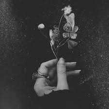 But now aesthetic black and white photography is a genre. Pin On Øª