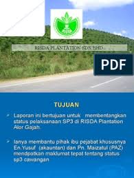 Currently, keresa manages 8,551 hectares of oil palm plantation at lavang land district, bintulu, sarawak which started operation since 1996. Risda Plantation Sdn Bhd