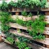 Your vegetable garden can be started indoors. 1