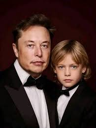 Lilac american bully appearance