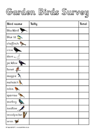 Birds Primary Teaching Resources And Printables Sparklebox