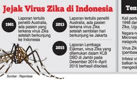 Ketika itu menyebabkan gejala (sekitar satu dari setiap lima infeksi), itu biasanya menghasilkan penyakit yang berlangsung beberapa hari hingga seminggu. Ini Beda Gejala Infeksi Virus Dbd Dan Zika Semua Halaman Nakita