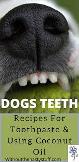 It costs $150 to have my dog's teeth cleaned at the vet office. How To Brush Your Dogs Teeth Naturally Homemade Recipes For Toothpaste Using Coconut Oil Dog Teeth Dog Teeth Cleaning Teeth Cleaning