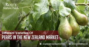 Pin By Roosnaturefresh On Pear Pear Winter Fruit Healthy Fruits