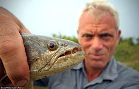 Monsters of the deep: British filmmaker wrestles