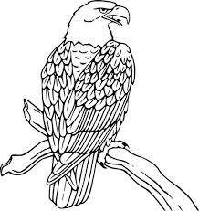 Fun lesson activity about the golden eagle. Bald Eagle Rest On Tree Coloring Page Netart