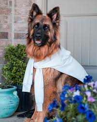 Kirk Mitchell (@kiritchell) • Instagram photos and videos