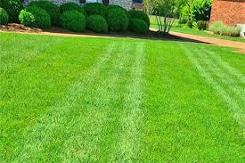 They provide irrigation services, lawn seeding, and sprinkler design. Lawn Maintenance Tw Lawn Care