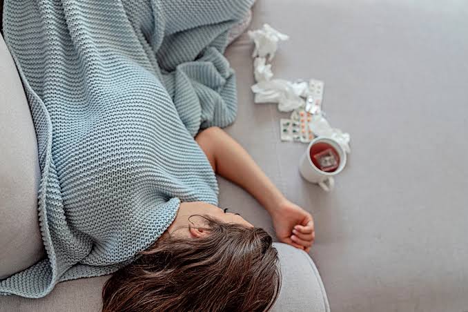  fever dream meaning 