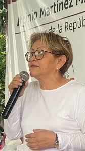 Apertura de Morena a militancia de partidos, señala Martha Guerrero