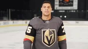 See more ideas about golden knights, golden knights hockey, vegas golden knights. Vegas Golden Knights Ryan Reaves Gif Vegasgoldenknights Ryanreaves Pointing Discover Share Gifs