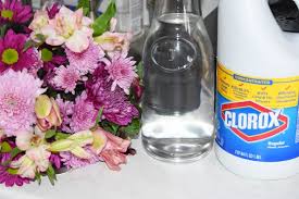 We did not find results for: Top 13 Uses For Bleach Around The House Small Joys