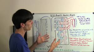 The emergence of engineering as sophisticated as this engine is actually a signpost pointing to the demi. W16 Engine Bugatti Veyron Explained Youtube
