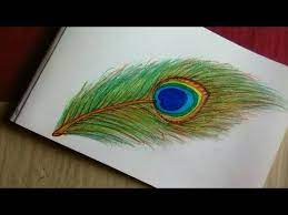 At the end of the line, draw feathers using connected, u shaped lines. How To Draw Beautiful Peacock Feather Youtube