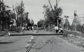 Emil wagner founded wagner greenhouses operates from the original cornelius base. Tomorrow City Of Richfield Minnesota Local Government Facebook