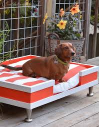 Terrific cat beds for your best pal. Diy Modern Pet Bed Centsational Style