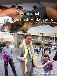 Just Serbian Things Down Prime Minister Of The Republic Of Serbia Best Funny Pictures Funny Memes Serbia