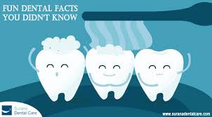 Instantly play online for free, no downloading needed! Dental Facts You Probably Didn T Know Surana Dental Care