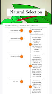 This short tutorial explores and compares the mechanisms of artificial selection and natural selection. Natural Selection Interactive Worksheet By Ann Hicks Wizer Me