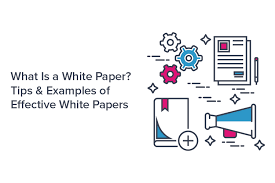 Snapapp's white paper shows how a little purposeful experimentation with the white paper format can pay off through a product that makes audiences willingly stay engaged. What Is A White Paper Content Tips Examples To Follow