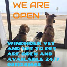 See google profile, hours, phone, website and more for this business. Windhoek Veterinary Clinic Windhoek Veterinary Clinic Cc Facebook