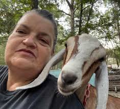 Introduction to Arkansas Goat Owner with American Nubians and Lamancha  Nubian Crosses in Benton