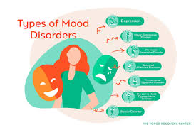 Image result for Mood Disorder