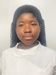 BioSLATE: Biomarker Selection and Synthetic Lethality Analysis for  Therapeutic Exploration in HGSOC