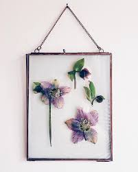 Pin On Gallery Walls Art Display Ideas