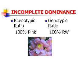 Incomplete Dominance N With Incomplete Dominance A Cross