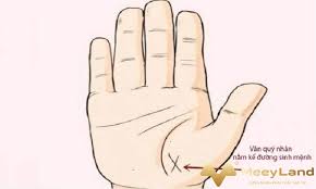 Người sở hữu lòng bàn tay hình chữ m, đặc biệt là phụ nữ có trực giác rất nhạy bén. Báº­t Mi Bi Máº­t Vá» Nhá»¯ng NgÆ°á»i Co Chá»‰ Tay Ä'uoi Ca