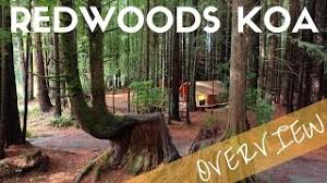 Maybe you would like to learn more about one of these? Crescent City Redwoods Koa Campground Overview Camping Near Redwoods National Park Youtube