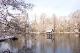 Schlossteich Im Schlosspark Lubbenau Style At Home Spreewald Wald