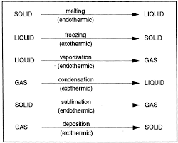 Login To Your Benchprep Account Teaching Chemistry Chemistry Education Chemistry Lessons