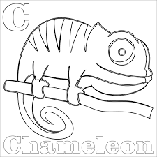 This collection includes color by number pages this collection includes color by number pages, mandalas, hidden picture activity pages and more! Chameleon Coloring Pages Best Coloring Pages For Kids