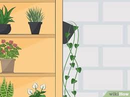 We did not find results for: How To Turn A Bookshelf Into A Vertical Garden 14 Steps